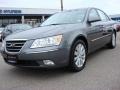 Willow Gray 2010 Hyundai Sonata Limited