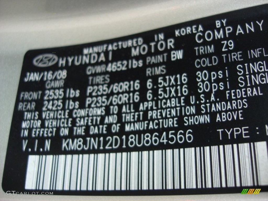 2008 Tucson Color Code BW for Desert Sage Photo #55830263
