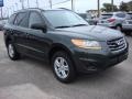 2010 Black Forest Green Metallic Hyundai Santa Fe GLS  photo #7