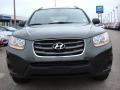 2010 Black Forest Green Metallic Hyundai Santa Fe GLS  photo #8