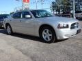 Bright Silver Metallic - Charger SXT Photo No. 6