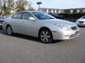 Classic Silver Metallic - ES 330 Photo No. 2