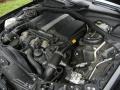 5.0 Liter SOHC 24-Valve V8 Engine for 2003 Mercedes-Benz S 500 Sedan #55833377