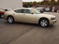 White Gold Pearl - Charger SXT Photo No. 2
