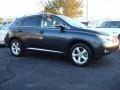2010 Smokey Granite Mica Lexus RX 350 AWD  photo #2