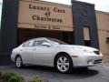 Classic Silver Metallic - ES 330 Photo No. 1