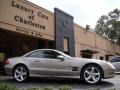 2006 Pewter Metallic Mercedes-Benz SL 500 Roadster  photo #9