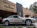 2006 Pewter Metallic Mercedes-Benz SL 500 Roadster  photo #10