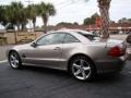 Pewter Metallic - SL 500 Roadster Photo No. 35