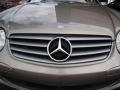 Pewter Metallic - SL 500 Roadster Photo No. 39