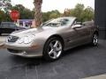 Pewter Metallic - SL 500 Roadster Photo No. 43