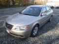 Camel Pearl - Sonata GLS Photo No. 28