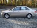 Camel Pearl - Sonata GLS Photo No. 29