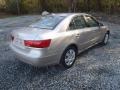 Camel Pearl - Sonata GLS Photo No. 31