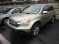 2007 Borrego Beige Metallic Honda CR-V EX-L 4WD  photo #3