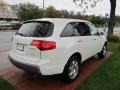 Aspen White Pearl - MDX Technology Photo No. 5