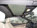 Black Oak Brown Metallic - Eos Lux Photo No. 6