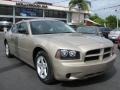 Light Sandstone Metallic 2009 Dodge Charger SE