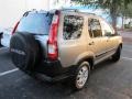 2005 Pewter Pearl Honda CR-V EX 4WD  photo #2