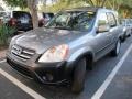 Pewter Pearl - CR-V EX 4WD Photo No. 4