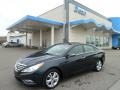 2011 Indigo Blue Pearl Hyundai Sonata Limited  photo #1