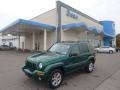 2004 Timberline Green Pearl Jeep Liberty Limited 4x4  photo #1