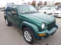 2004 Timberline Green Pearl Jeep Liberty Limited 4x4  photo #7