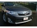 Magnetic Gray Metallic - Camry XLE Photo No. 2