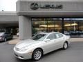 Millennium Silver Metallic - ES 300 Photo No. 1