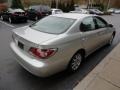 Millennium Silver Metallic - ES 300 Photo No. 5
