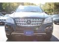 Black - ML 350 4Matic Photo No. 2
