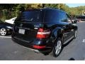 Black - ML 350 4Matic Photo No. 6