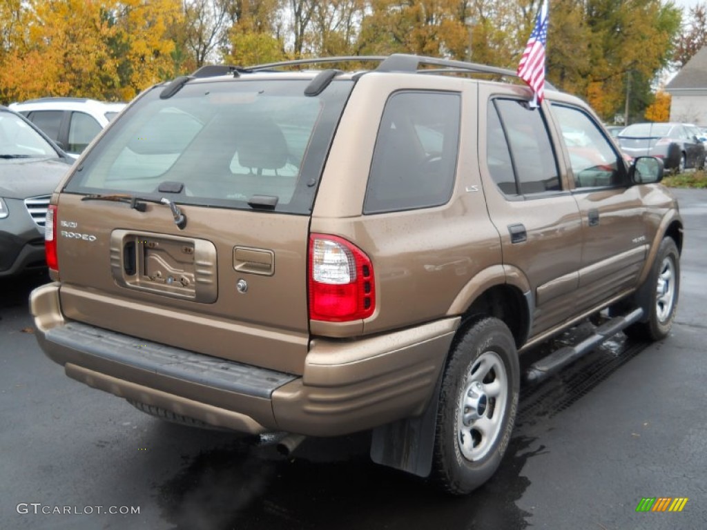 Star Gold Metallic 2002 Isuzu Rodeo LS 4WD Exterior Photo #55862760
