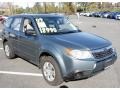2009 Sage Green Metallic Subaru Forester 2.5 X  photo #3