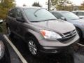 Urban Titanium Metallic - CR-V SE 4WD Photo No. 1