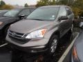 Urban Titanium Metallic - CR-V SE 4WD Photo No. 3