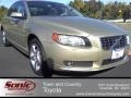 Shimmer Gold Metallic - S80 3.2 Photo No. 1