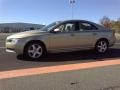 Shimmer Gold Metallic - S80 3.2 Photo No. 18