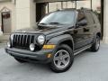 Front 3/4 View of 2006 Liberty Renegade