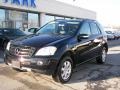 Black - ML 350 4Matic Photo No. 23