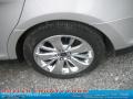 Ingot Silver - Taurus Limited Photo No. 13