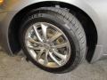 Platinum Graphite Gray - G 35 Sedan Photo No. 22