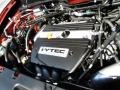 2003 Honda Element 2.4L DOHC 16V 4 Cylinder Engine Photo