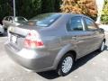 2007 Medium Gray Chevrolet Aveo LS Sedan  photo #3