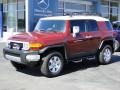 2010 Brick Red Toyota FJ Cruiser 4WD  photo #1