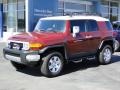 2010 Brick Red Toyota FJ Cruiser 4WD  photo #38