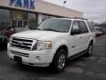 White Suede 2008 Ford Expedition XLT 4x4