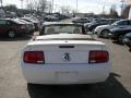 2009 Performance White Ford Mustang V6 Premium Convertible  photo #19
