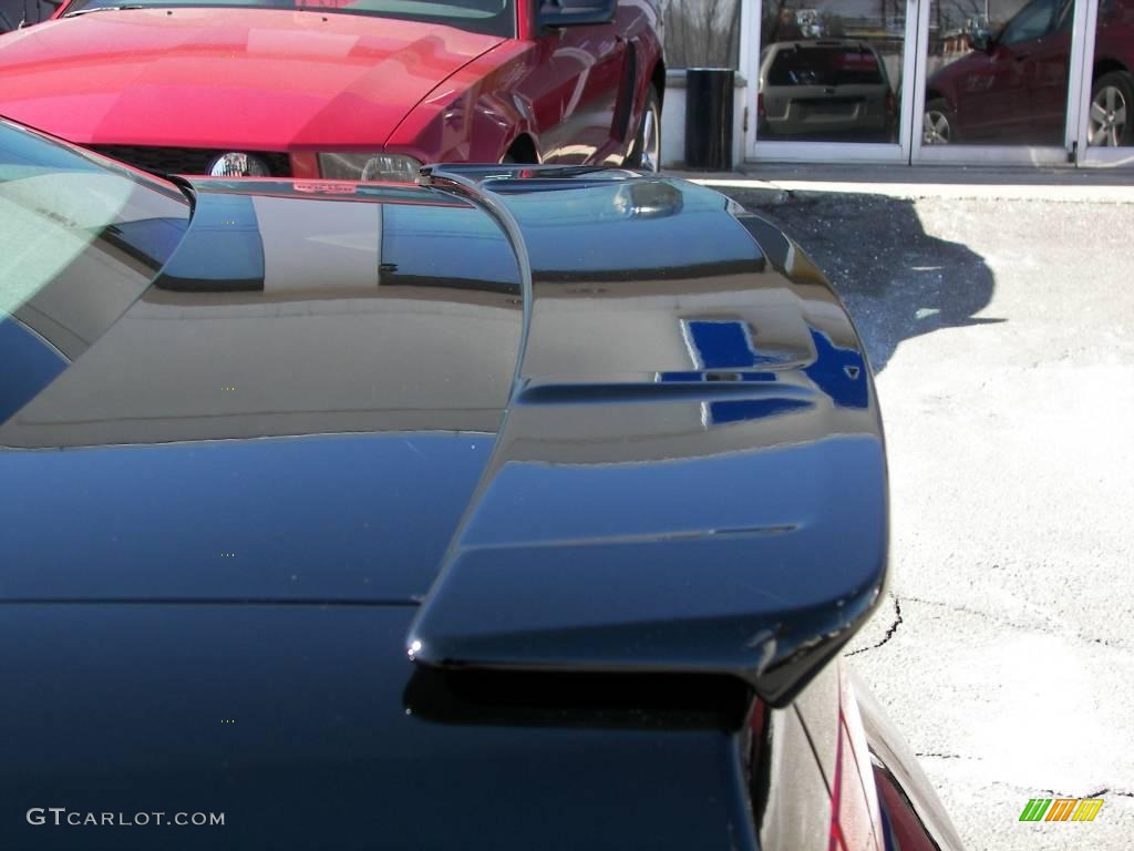 2009 Mustang V6 Coupe - Black / Light Graphite photo #10