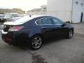 2009 Royal Blue Pearl Acura TL 3.7 SH-AWD  photo #5